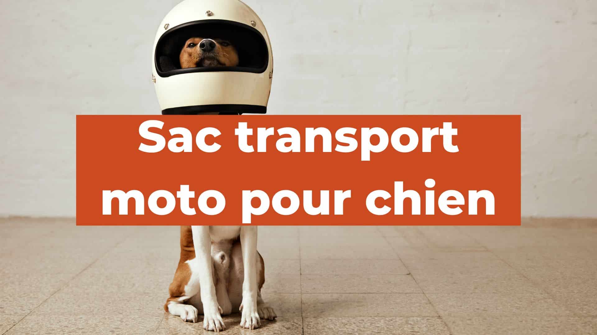sac transport moto pour chien